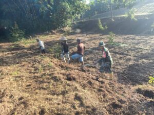 Jaga Ketahanan Pangan, Babinsa Tampak Siring Bersama Warga Tanam Jagung