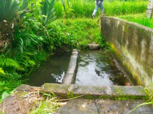 Diduga Sakit Warga Dusun Tengak Bat Lotim Ditemukan Meninggal Di Telaga