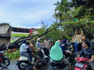 Anggota Polsek Pratim Bantu Evakuasi Pohon Tumbang di Jalan Raya Desa Mujur