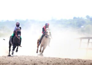 Maen Jaran: Ajang Silaturahmi, Simbol Kerja Keras, Status sosial dan Akar budaya masyarakat Samawa