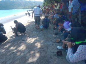 Hari Lingkungan Hidup, Turtle Conservation Community Lepas Tukik di Pantai Nipah
