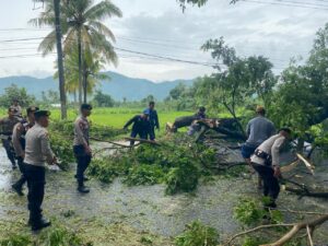 Polres Loteng Bahu Membahu Bersama Masyarakat Evakuasi Pohon Tumbang