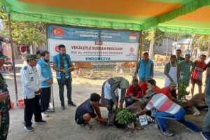 Polsubsektor Palibelo Monitor Pemotongan Hewan Qurban dari Bazis Turki