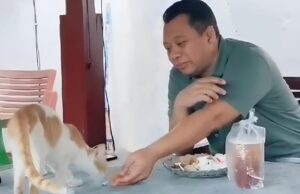 Sisi Lain Bang Zul, Ternyata Seorang Cat Lovers