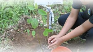 Bank NTB Syariah Tanam 1024 Bibit Pohon di Joben Lombok Timur