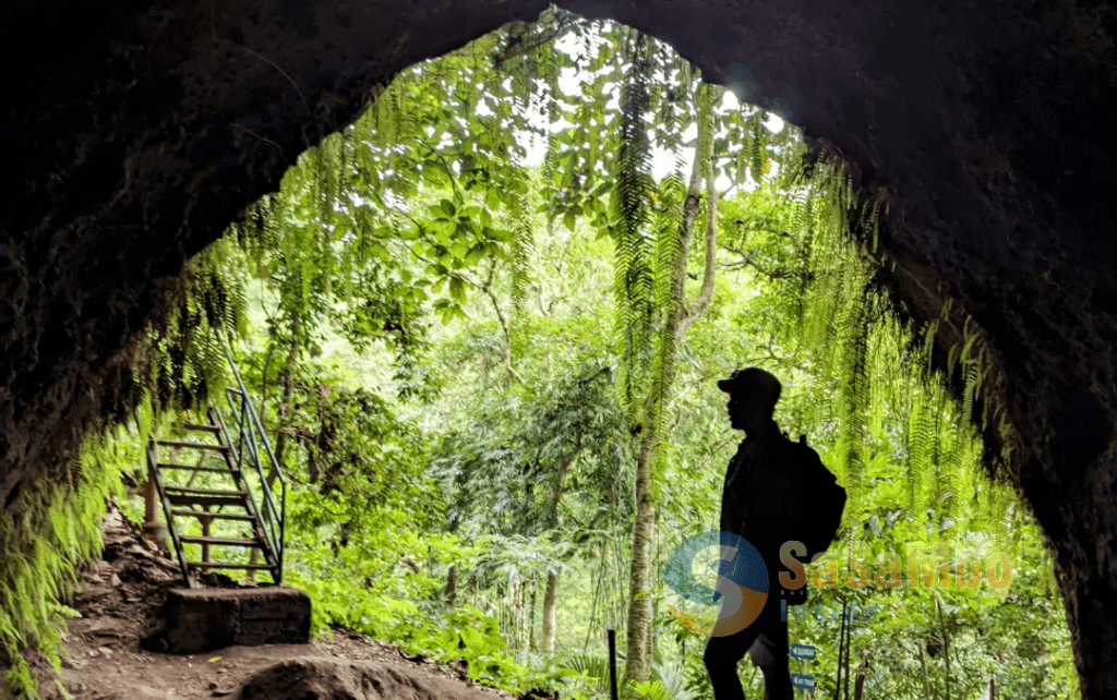 Goa Lawah Lebah Sempaga Destinasi Wisata Caving dan Camping di Kaki Rinjani