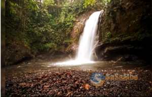 Pesona Air Terjun Tibu Bunter, Surga Kecil di Jantung Narmada