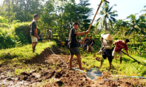 Jengah dengan Janji Pemerintah dan Caleg, Warga Desa Aik Berik Swadaya Buka Jalan Baru