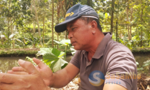 Tokoh Masyarakat Desa Aik Berik Soroti Ketimpangan Pembangunan di Lombok Tengah 
