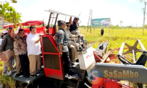Loteng Tunjukkan Komitmen Ketahanan Pangan Nasional Lewat Panen Raya Padi di Teruwai