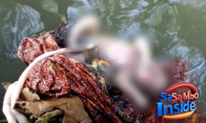Geger! Dikira Boneka, Jasad Bayi Laki-laki Ditemukan Tersangkut di Sungai Bendungan Batujai