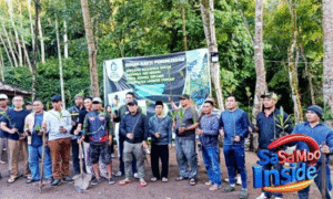 Jaga Mata Air, PDAM Loteng Tanam Ratusan Pohon di Aik Berik 