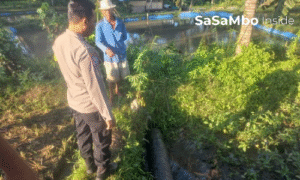 Mayat Pria Lansia Ditemukan Terkapar di Sawah