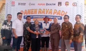 Panen Raya Padi, Bupati Optimis Jadi Garda Terdepan Penyangga Pangan Nasional