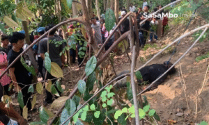 Dugaan Orang Ketiga Mencuat di Kasus Kematian Brigadir Esco