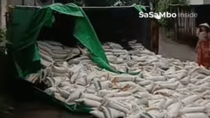 Truk Bermuatan Raskin Terbalik di Tanjakan Sabil Penyengak