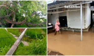 Banjir dan Pohon Tumbang Terjang Lombok Tengah, BPBD Catat 386 KK Terdampak