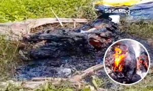 Ngeri! Mayat Terbakar Ditemukan di Pinggir Jalan Sekotong, Polisi Selidiki Dugaan Pembunuhan