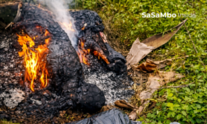Motif Uang, Ibu Tewas Dibakar Anak Sendiri 
