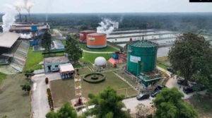 ROA PalmCo Tembus 7,9 Persen, Sinyal Penguatan Kinerja Aset Holding Perkebunan Nusantara