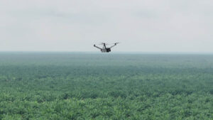 Teknologi Drone Thermal untuk Mencegah Kebakaran di Perkebunan Luas