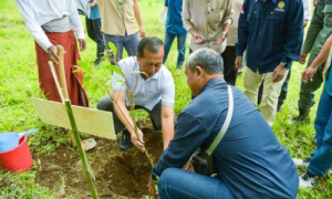 Gubernur NTB Ajak Warga Tanam Pohon Cegah Terjadinya Banjir