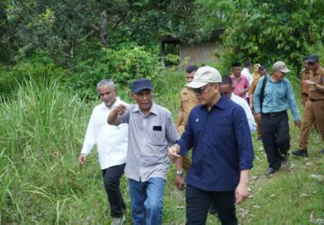 Didorong Kementan, Holding Perkebunan Nusantara Percepat Hilirisasi Gambir Nasional