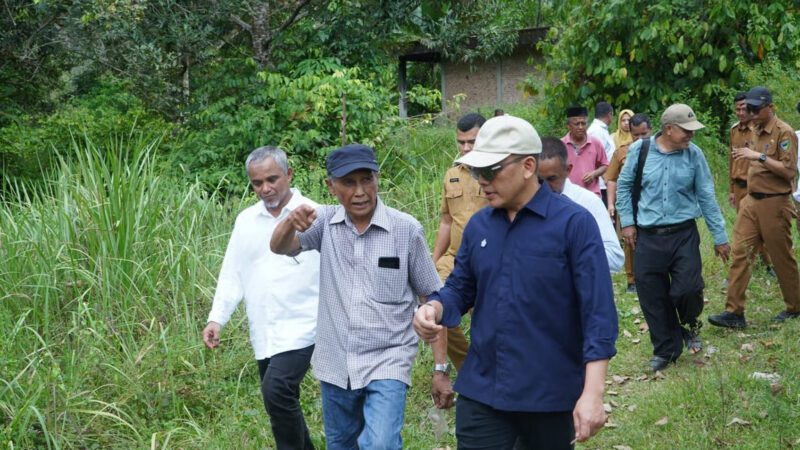 Didorong Kementan, Holding Perkebunan Nusantara Percepat Hilirisasi Gambir Nasional