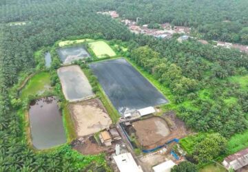 Hadapi Gejolak Energi Global, Holding Perkebunan Nusantara Andalkan PLTBg PalmCo