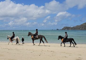 Demi Wisata Berkelas, ITDC Genjot Keamanan dan Kebersihan Tanjung Aan