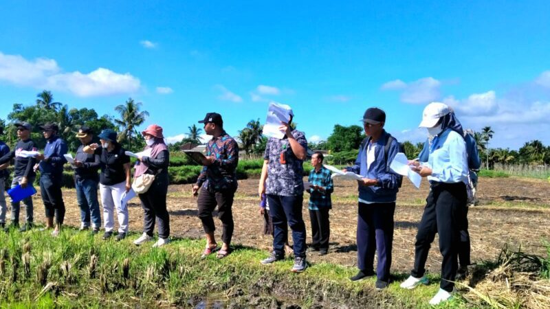 Puluhan Titik Tanah Desa Disengketakan, Kejari Loteng Turun Tangan Selamatkan Aset Negara