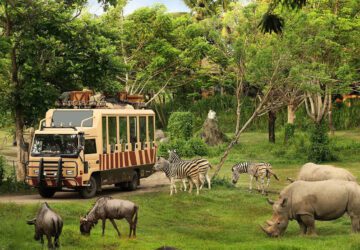 Taman Safari Indonesia Siap Dukung Transformasi Kebun Binatang Bandung sebagai Lembaga Konservasi Modern