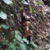 Warga Temukan Mayat Tergantung di Hutan Karang Sidemen
