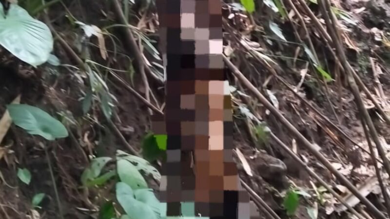 Warga Temukan Mayat Tergantung di Hutan Karang Sidemen