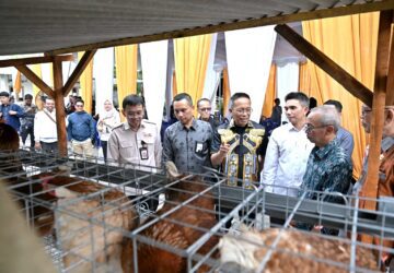 Dukung Program Desa Berdaya NTB, Bank NTB Syariah Salurkan Bantuan Budidaya Ayam Petelur untuk Masyarakat Desa Lendang Nangka Utara