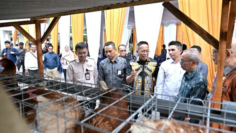 Dukung Program Desa Berdaya NTB, Bank NTB Syariah Salurkan Bantuan Budidaya Ayam Petelur untuk Masyarakat Desa Lendang Nangka Utara