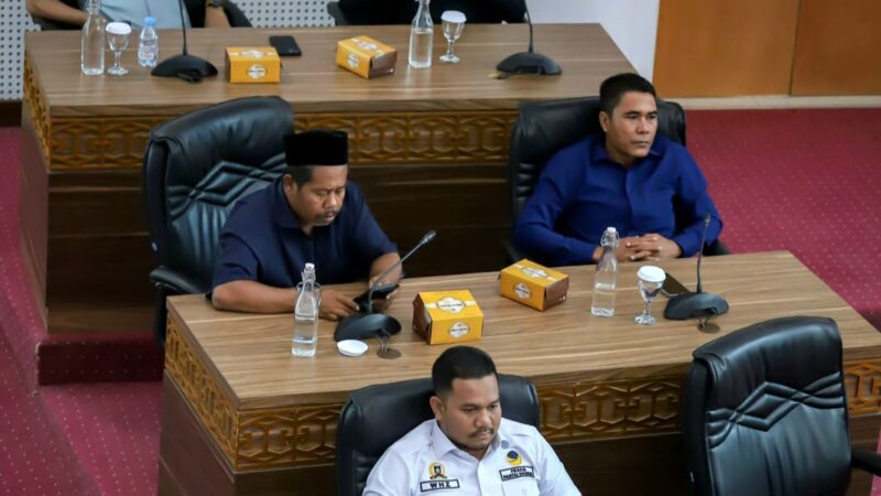 NasDem Desak Pemkab Loteng Buka-bukaan Soal Direksi Perumda Tanpa Pansel