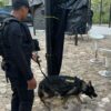 Cegah Ancaman Bom, Unit K-9 Sisir Area Pengamanan MotoGP Mandalika