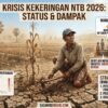 Musim Kemarau NTB Diperkirakan Berakhir Desember 2026, BMKG Imbau Warga Bijak Kelola Air